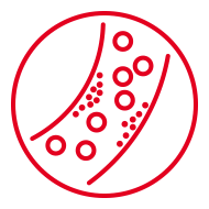 CholestControl™ - Bun pentru colesterol