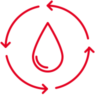 CholestControl™ - Bun pentru circulaţia sangvină